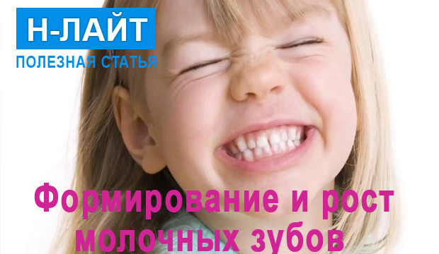 Формирование и рост зубов у детей