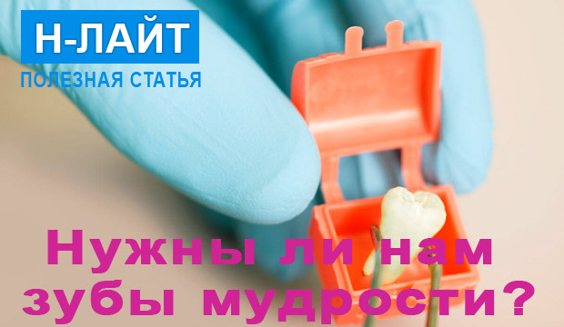 Зубы мудрости — нужны ли нам «восьмерки»?